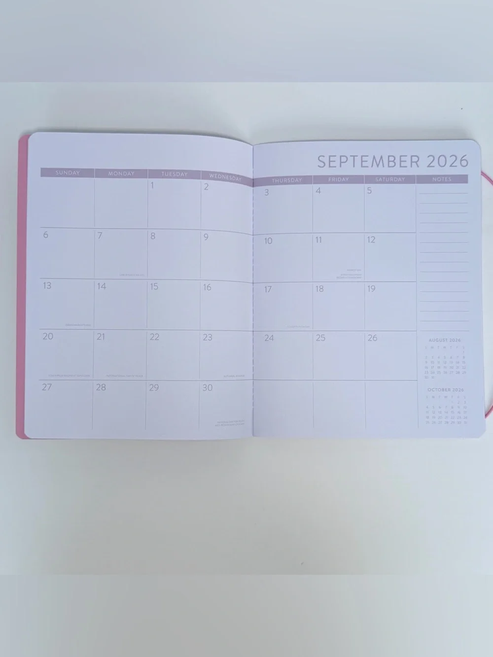 2026-2027 Weekly Monthly 17-month Planner - Orange Circle Studio (Pink Tulips)